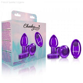 Cheeky Charms - Rechargeable Vibrating Metal Butt Plug with Remote Control - Purple-French Quarter Lingerie